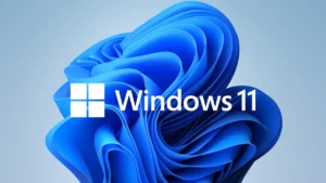 Windows 11 ونسبة الاستخدام من طرف مشتركي Steam